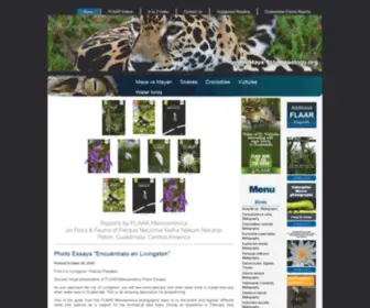 Maya-Ethnozoology.org(Introduction to Mayan animals) Screenshot