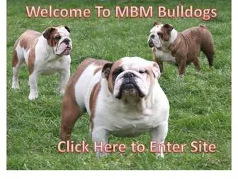 MBmbulldogs.com(Blank) Screenshot