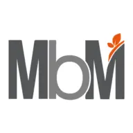 MBMgroup.cl Favicon