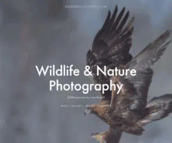 MBRynolfphoto.com(Mats Brynolf Wildlife & Nature Photographer) Screenshot