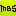 MBS.jp Favicon
