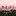 MCcrayplace.com Favicon