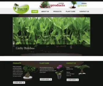 MCtropicals.com(Morgan Creek Tropicals) Screenshot