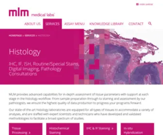 MDbhistopath.com(MLM Medical Labs) Screenshot