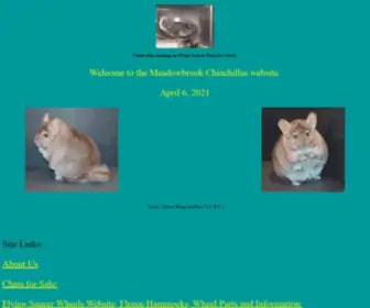 Meadowbrookchinchillas.com(Meadowbrook chinchillas) Screenshot