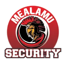 Mealamusecurity.nz Favicon