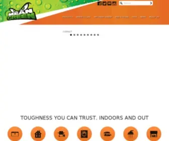 Meangreendegreaser.com(Mean Green Cleaner & Degreaser) Screenshot