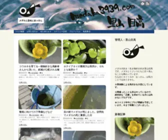 Medaka3939.com(メダカと農場とおっさん) Screenshot
