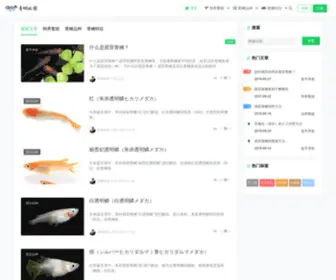 Medaka.com.cn(青鳉玩家) Screenshot