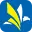 Medcityoverseas.com Logo