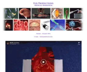 Medflix.com(Flix Productions Medical Animation Company) Screenshot