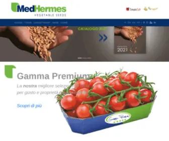 Medhermes.net(Semi F1) Screenshot