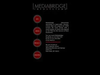 Mediabridge.com(Mediabridge Infosystems) Screenshot