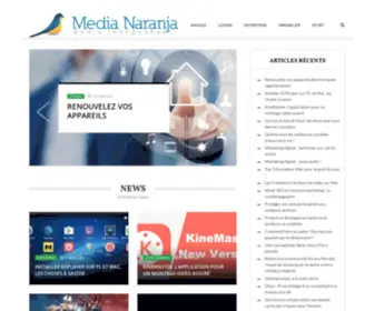 Medianaranja.fr(Un point de vue sur l'actualite du marketing et d'internet) Screenshot