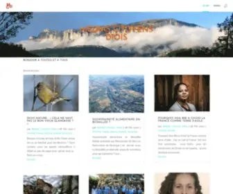 Mediascitoyens-Diois.info(Accueil) Screenshot