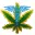 Medicalmarijuanacardnewyork.com Favicon