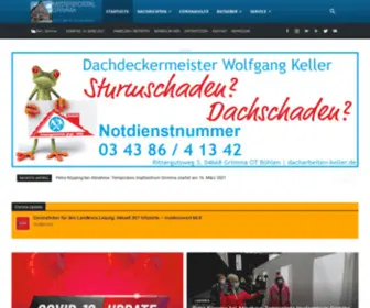 Medienportal-Grimma.de(Medienportal Grimma) Screenshot