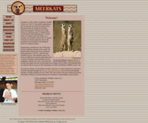 Meerkats.com(Meerkat) Screenshot