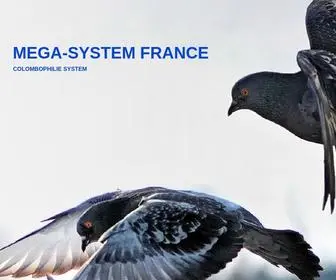 Mega-SYstem.fr(MEGA-SYSTEM FRANCE) Screenshot