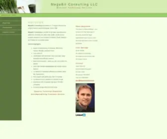 Megabitconsulting.com(MegaBit Consulting LLC) Screenshot