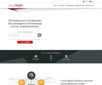 Megabuyte.com(Technology Sector Intelligence) Screenshot