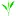 Mehrtenstee.de Favicon