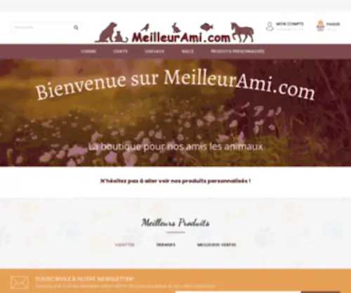 Meilleurami.com(SARL SINPAS) Screenshot