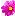 Mein-Pflanzenblog.de Logo