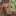 Meinferienhund.ch Favicon