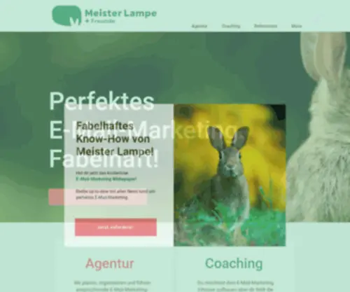 Meisterlampe-UND-Freunde.de(Digital Marketing Agentur) Screenshot