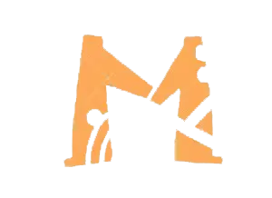 Meiyida05.com Favicon