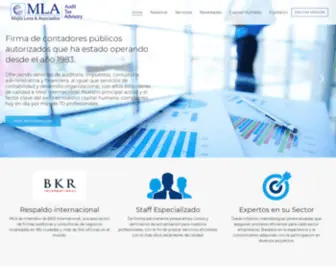 Mejialora.com(Mejia Lora & Asociados) Screenshot