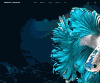 Melbournetropicalfish.com.au(Melbourne Tropical Fish Imports) Screenshot