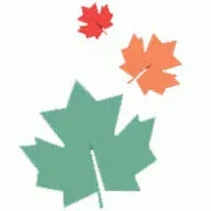 Memorialsocietybc.org Favicon