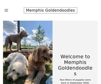 Memphisdoodles.com(Memphis Goldendoodles) Screenshot