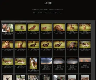 Meoe.hu(Kutya magyarul) Screenshot