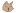 Meowmovies.xyz Favicon