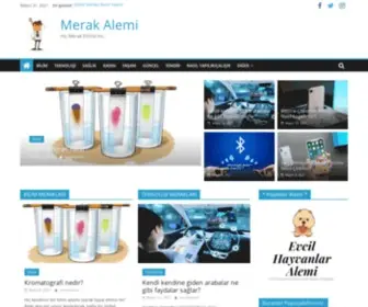 Merakalemi.com(Merak Alemi) Screenshot