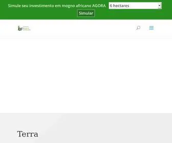 Mercadoflorestal.com.br(Instituto Brasileiro de Florestas) Screenshot