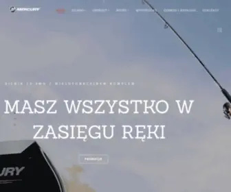 Mercurysilniki.pl(Dystrybutor silników spalinowych) Screenshot