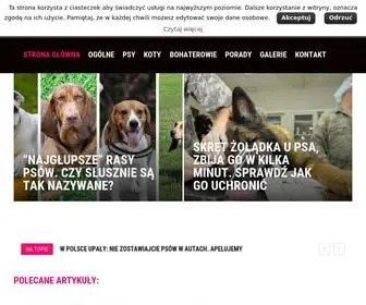Merdacz.pl(Główna) Screenshot