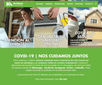Meridionalseguros.com.ar(Meridional Seguros Argentina) Screenshot