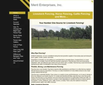 Meritenterprises.com(Merit Enterprises) Screenshot