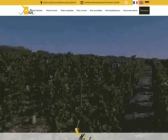 Merlin-Vins.com(Domaine Merlin) Screenshot