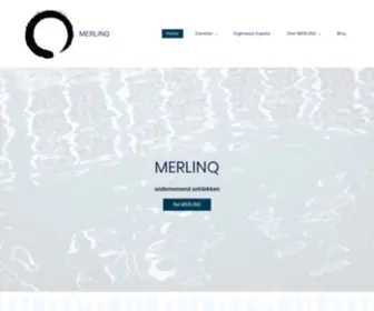 Merlinq.net(MERLINQ. Specialist in betekenisvolle digitale vernieuwing. Kernwoorden) Screenshot