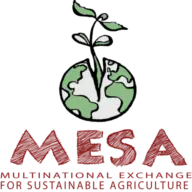 Mesaprogram.org Favicon
