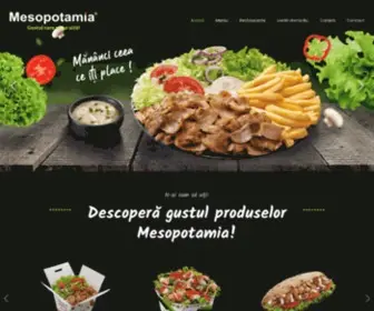 Mesopotamia.ro(Mesopotamia Romania) Screenshot