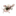 Mestizos.cl Favicon