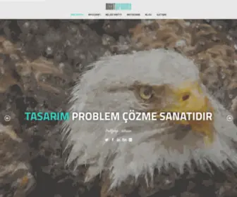 Mesutcapanoglu.com(Mesut) Screenshot