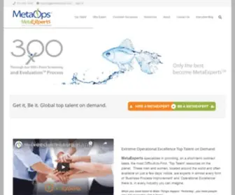 Metaexperts.com(Operational Excellence Top Talent On Demand) Screenshot